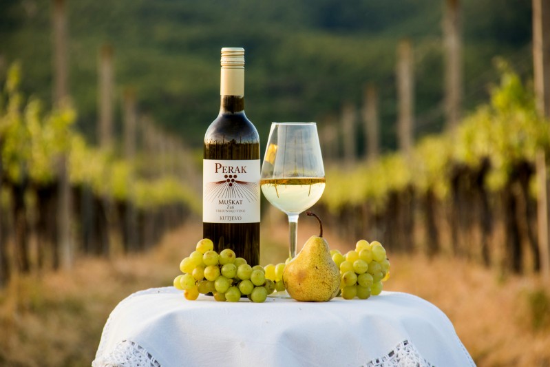 Wine tasting france