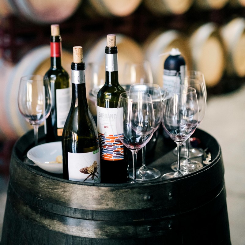 Wine tasting sq2